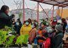 Vecinas del sector de Guayacán participan en taller de Huertas Orgánicas