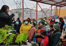 Vecinas del sector de Guayacán participan en taller de Huertas Orgánicas