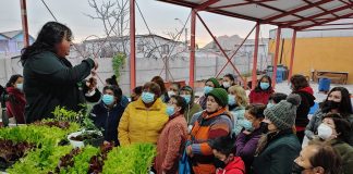 Vecinas del sector de Guayacán participan en taller de Huertas Orgánicas